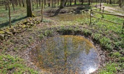 Hirschlache2