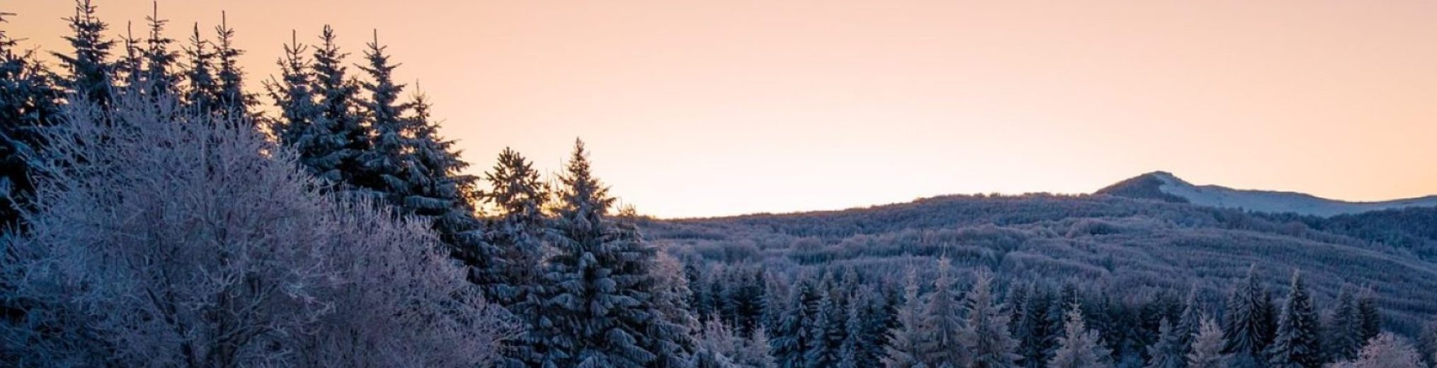 Schwäbischer Albverein | Ortsgruppe Temmenhausen