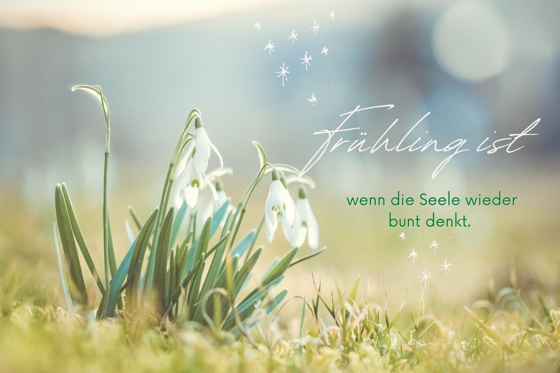 Schwäbischer Albverein Ortsgruppe Temmenhausen Ortsgruppe Temmenhausen